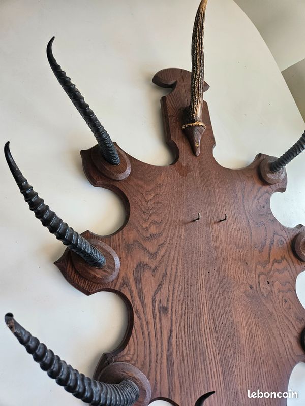 Porte-fouet Mural En Bois FLECK - Pour 3 Fouets De Dressage - Support à Fixer