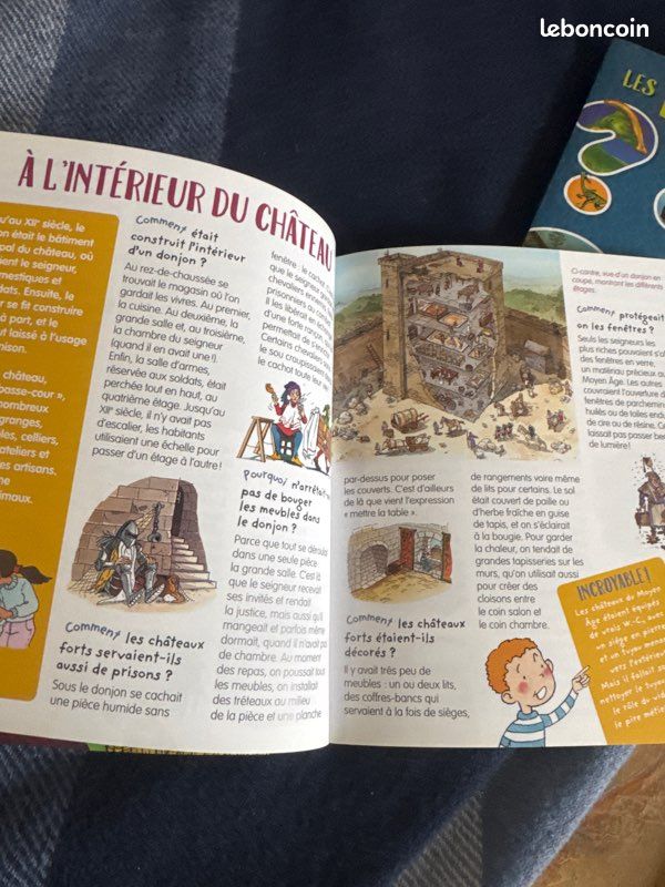 Pourquoi comment le moyen âge et les dinosaures Fleurus (image 4)