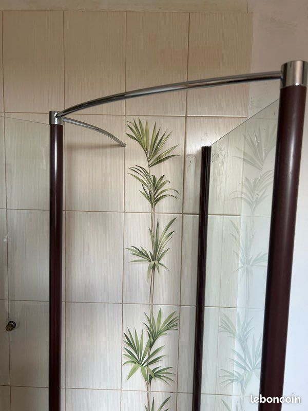 Receveur + Parois douche indissociables (image 5)