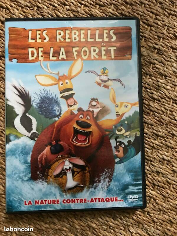 Dvd dessin anime (image 1)