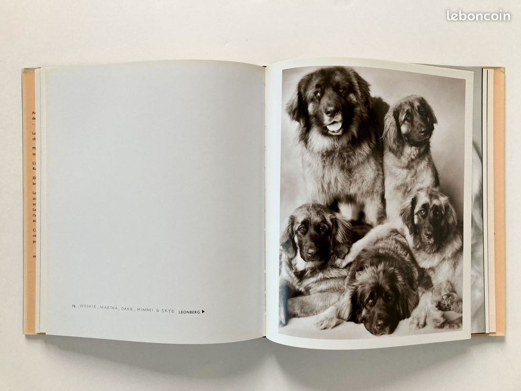 Gueules de chiens (image 2)