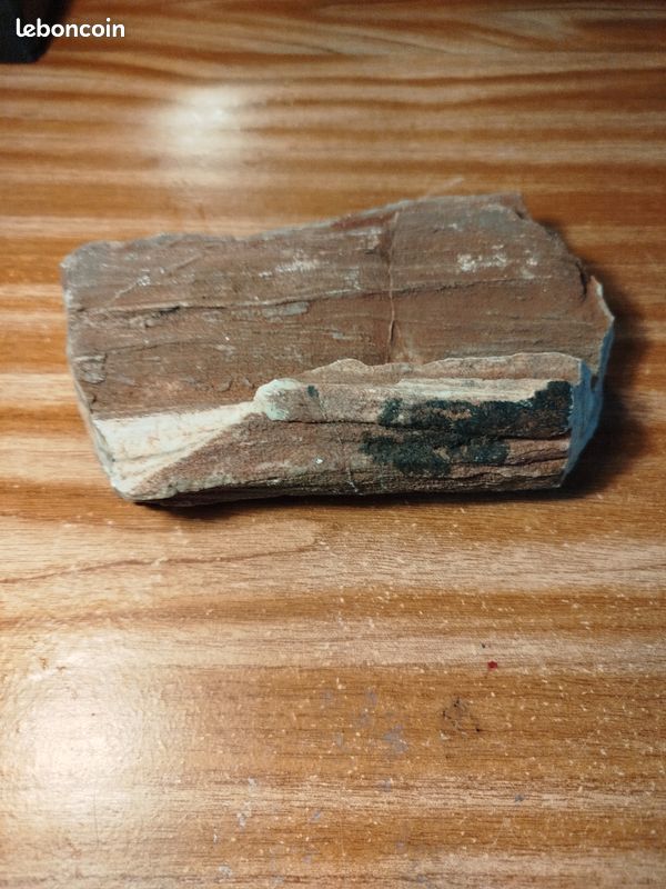 Pierre décorative naturelle pour aquarium – Aquascaping (image 2)