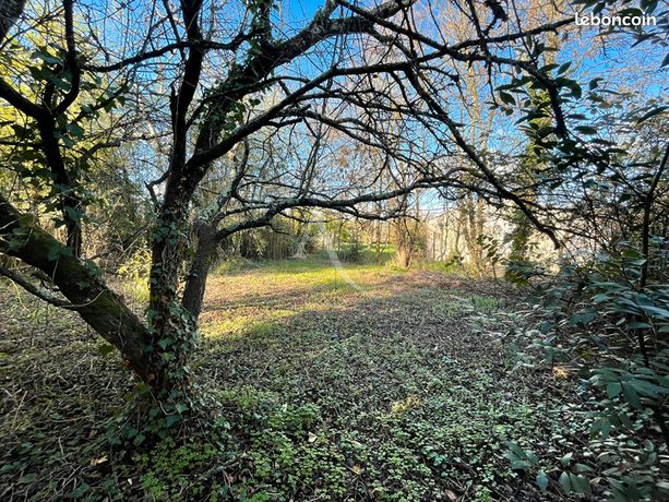 Propriété 4 pièces 78 m²