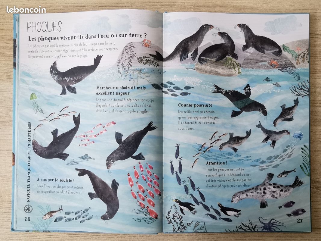 Livre Nos incroyables animaux marins Livres