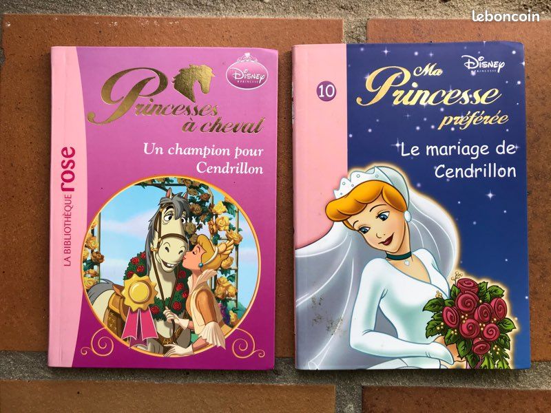 Lot de 2 livres - princesses Disney (image 1)