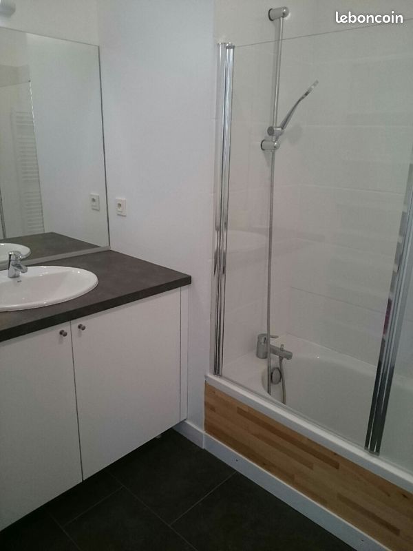 Saint-Malo appartement en rez- de- jardin proche plages et commerces (image 3)