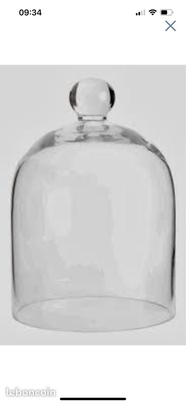 Cloche en verre (image 3)