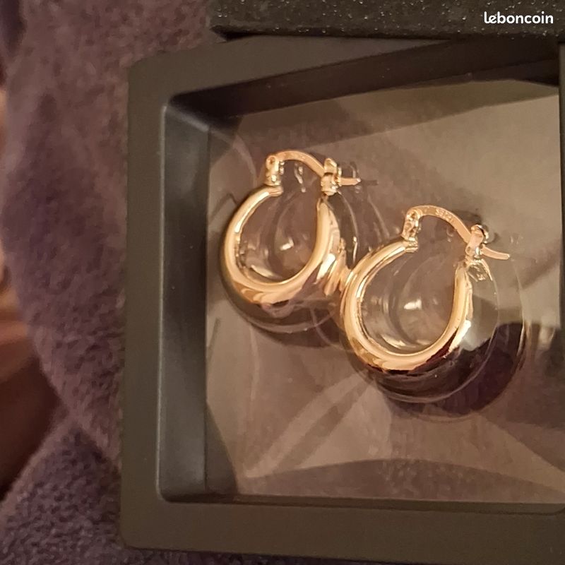 Plaquées Or en Acier Inoxydable, Boucles d’Oreilles Créoles Neuves (image 1)