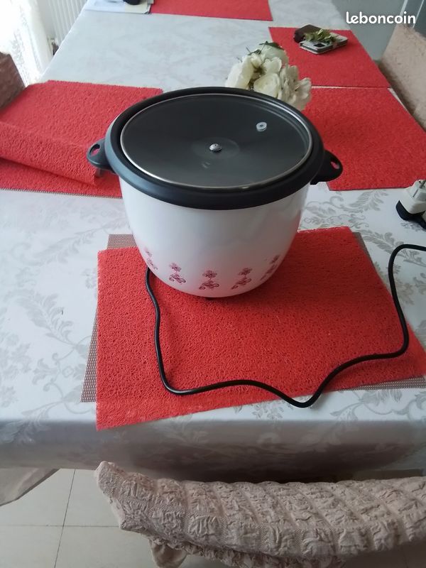 Auto cuiser pour riz (image 4)