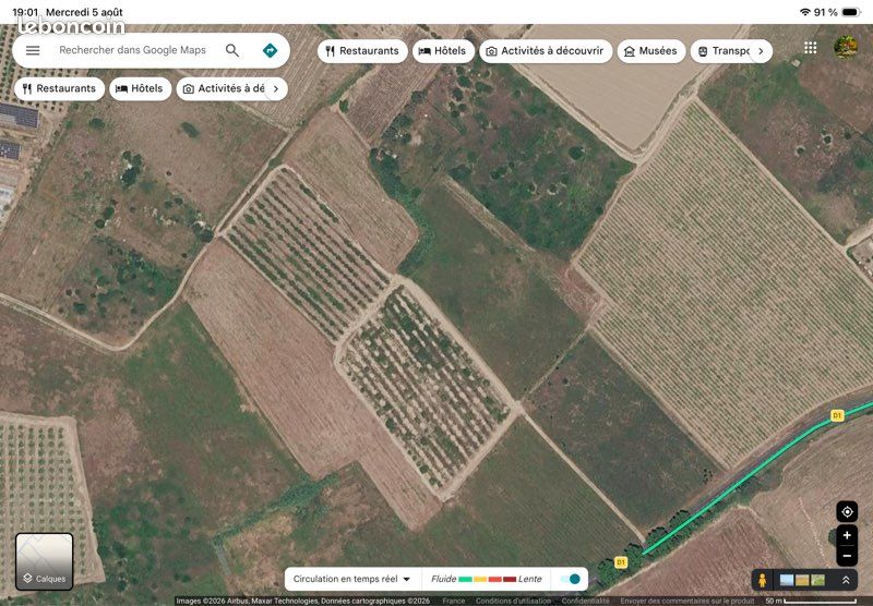 Terrain agricole verger abricotiers · à Claira · 27 000 €