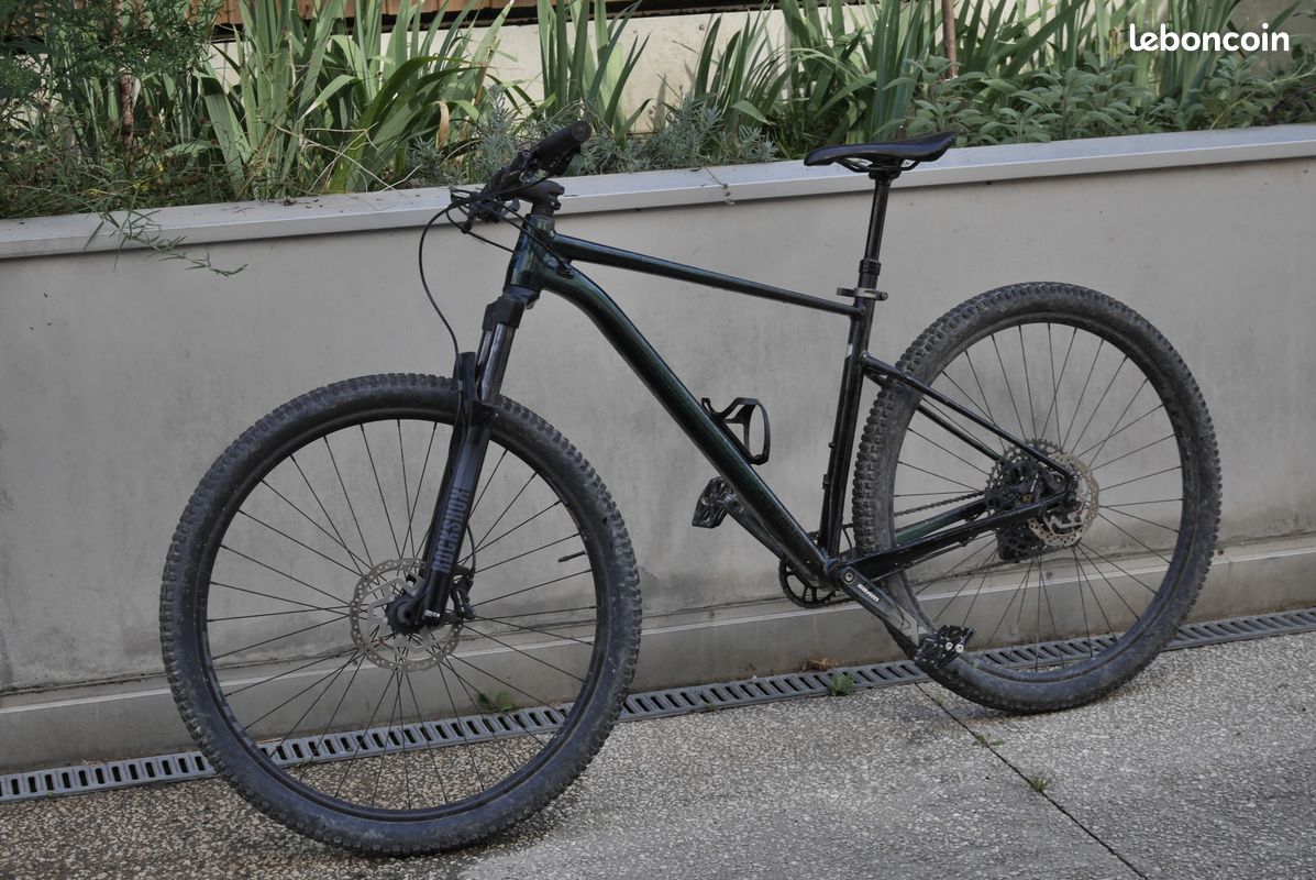 Cannondale Trail 2021 Review Cannondale Trail 2021 Mountain Bike