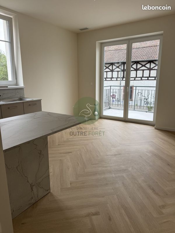 Immeuble 300 m² Haguenau (image 3)