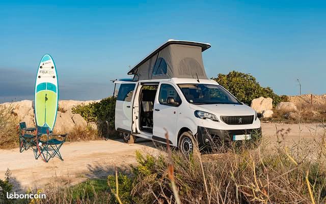 Van Peugeot expert 4x4 Dangel, 2023 (image 9)