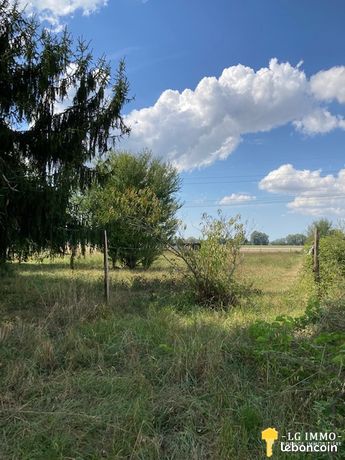 Terrain 2200 m² Bois