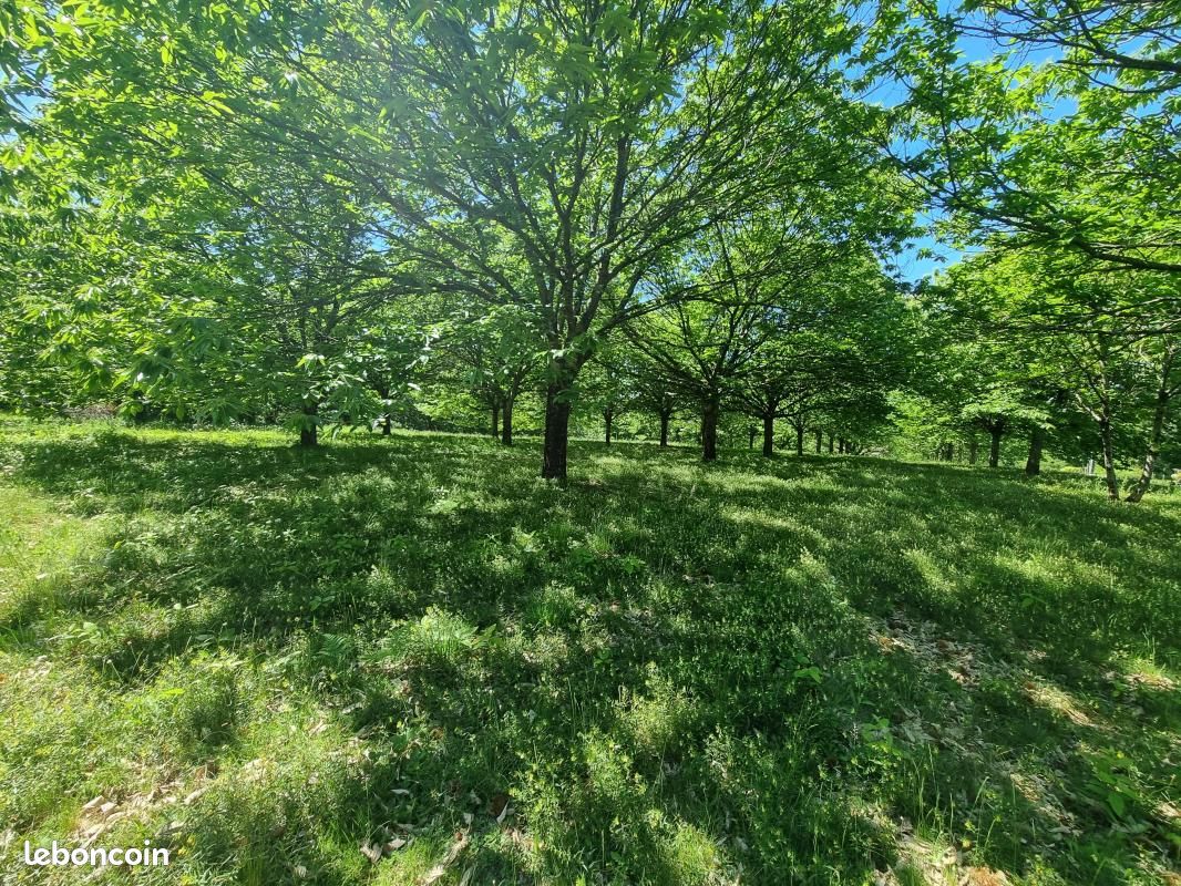 Terrain 4 020 m² Saint Yrieix La Perche (image 4)