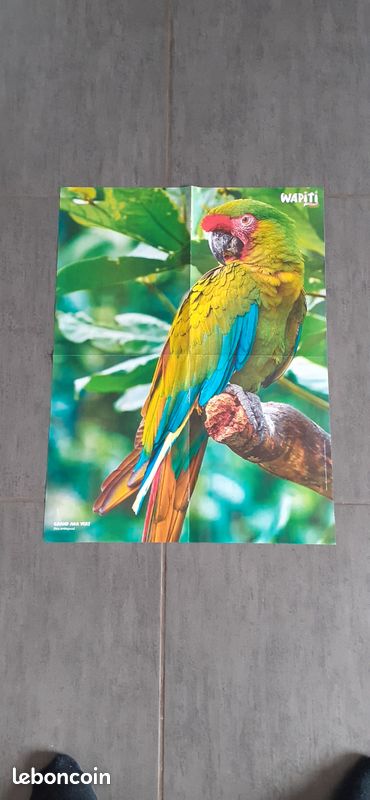 Lot de 3 posters (image 3)