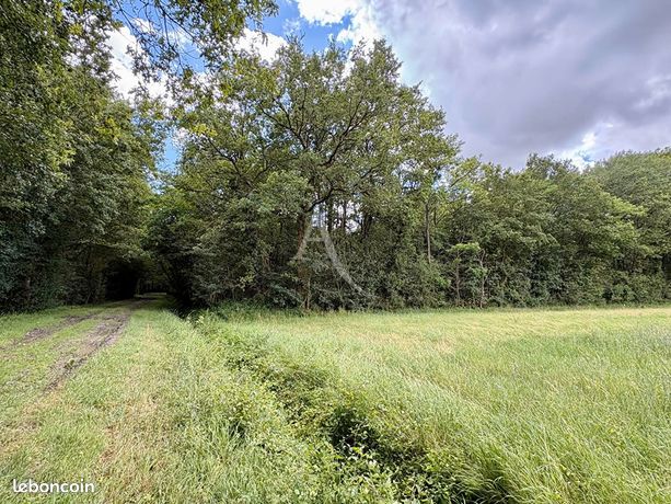 Terrain 1774 m² LE PLESSIS GRAMMOIRE