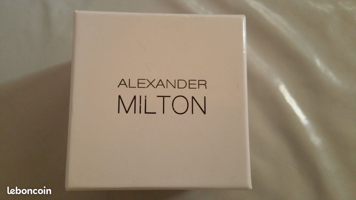 Vends montre alexander milton pour homme (image 3)