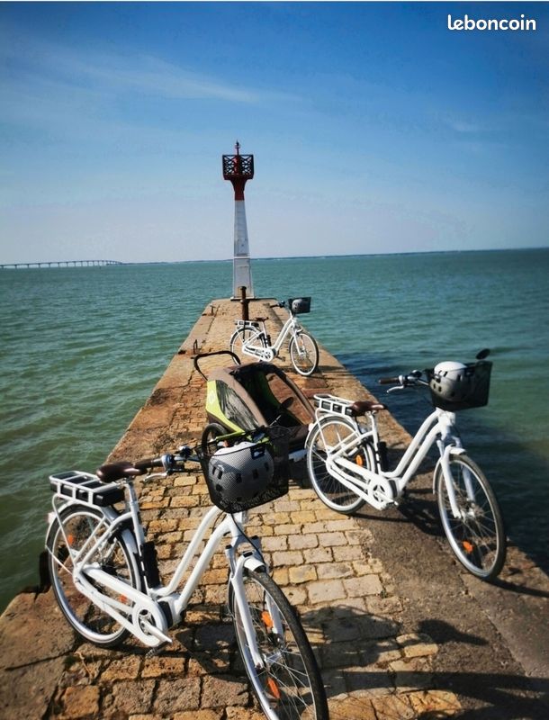 Location remorque velo (image 9)