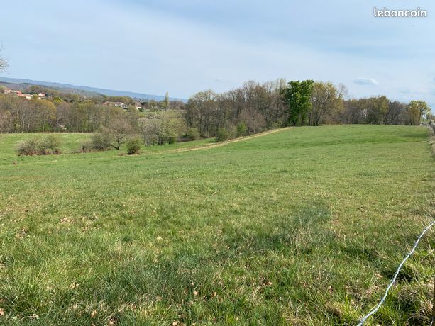 Terrain constructible