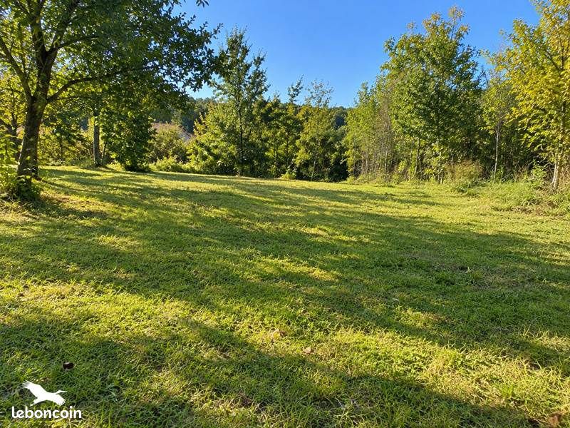 Terrain 1046 m² · au Born · 52 000 €