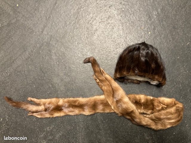 Echarpe et Toque en vison (image 1)