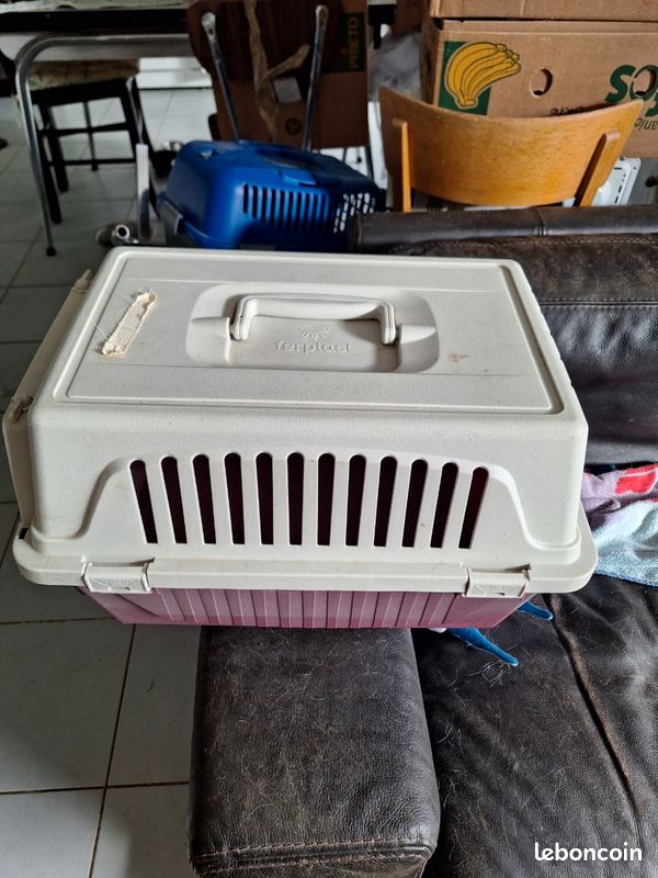 Caisse de transport chien.ou chat (image 3)