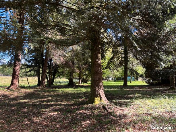 Terrain constructible