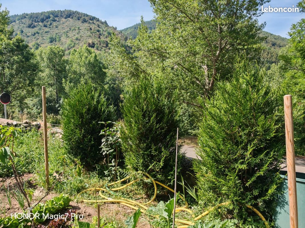 Vends terrain agricole Err (image 3)
