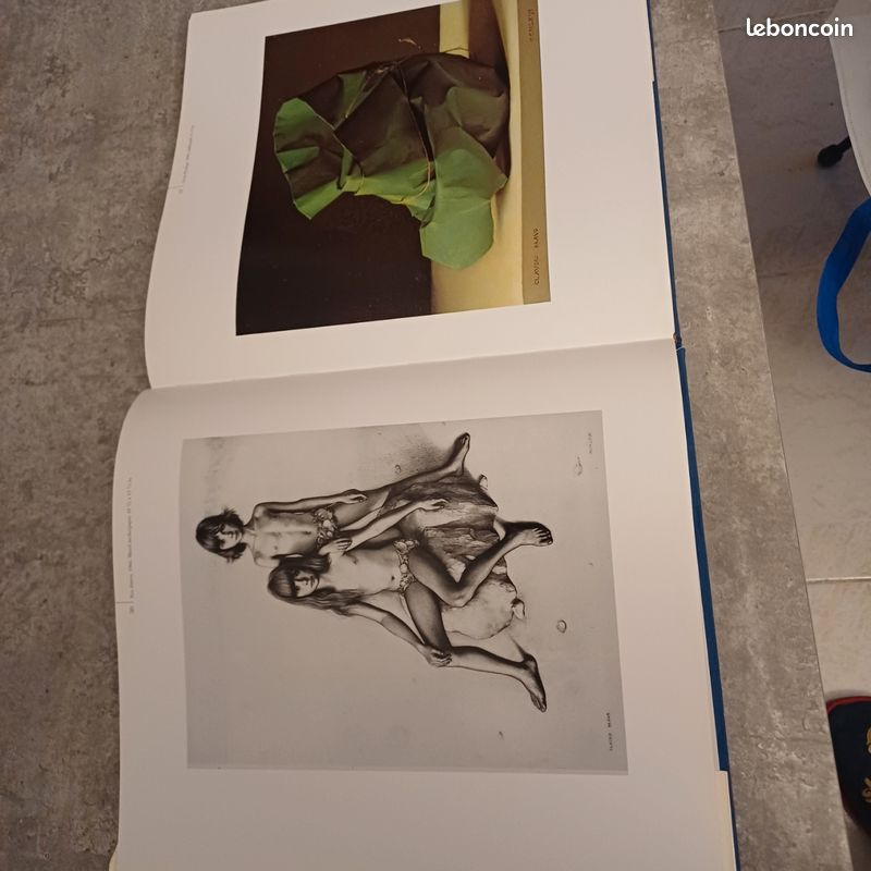 Rare livre art claudio bravo paintings and drawings (image 4)