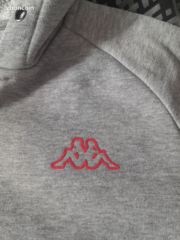 PUMA Sweat à Capuche Essentials Small Logo - Gris Enfant