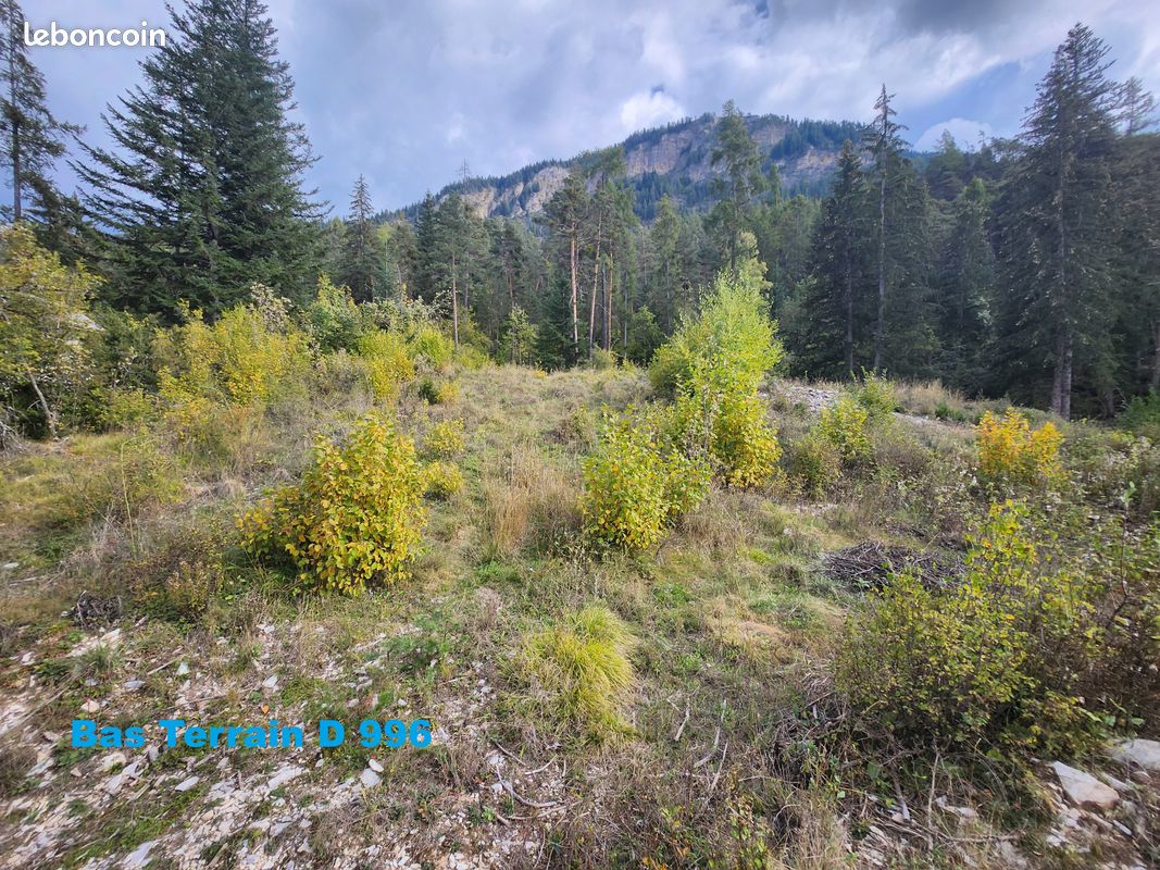 Terrain 1784 m² Colmars (image 6)