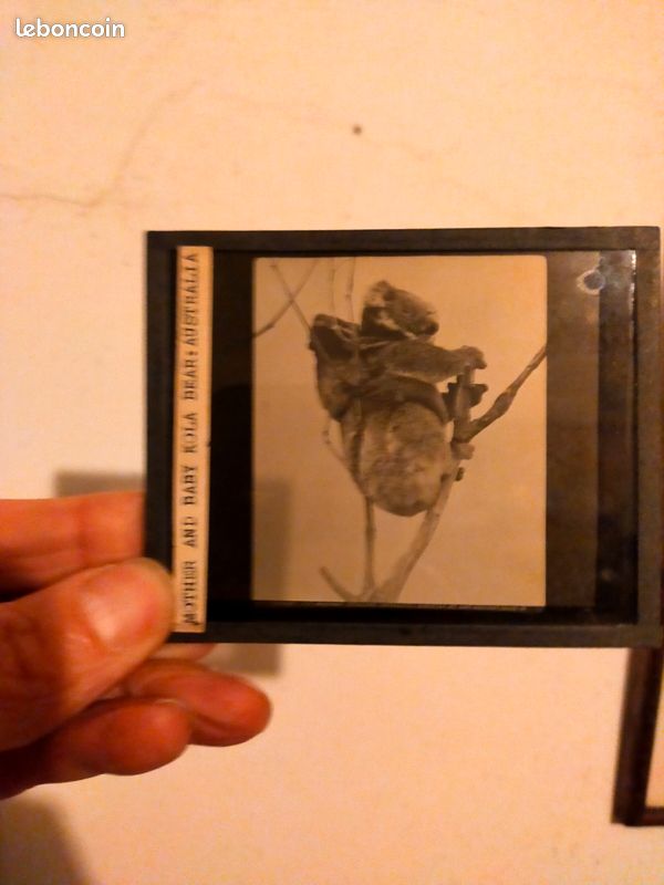 Ancienne diapositive en verre Australie (image 1)