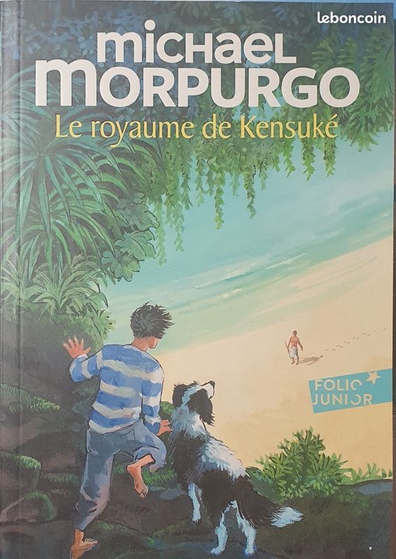 Vente d'un lot de livre (image 1)