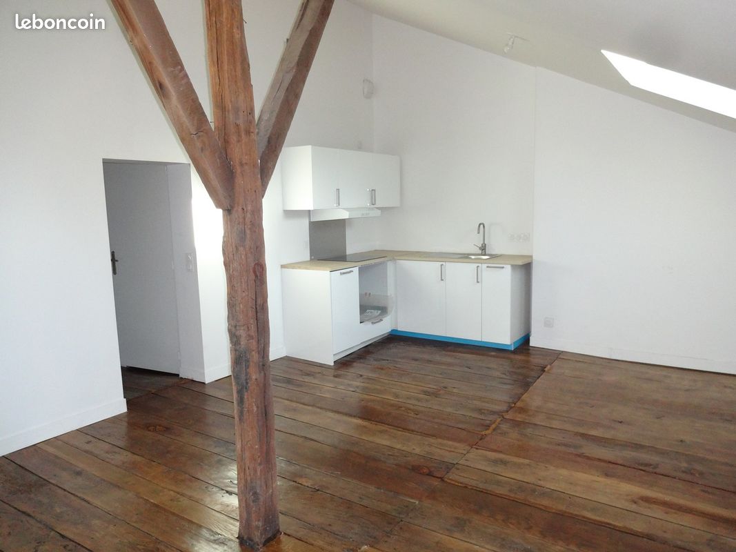 T3 - Centre villes Limoges - Limoges 87000 Centre-Hôtel de Ville Emailleurs (image principale 0)