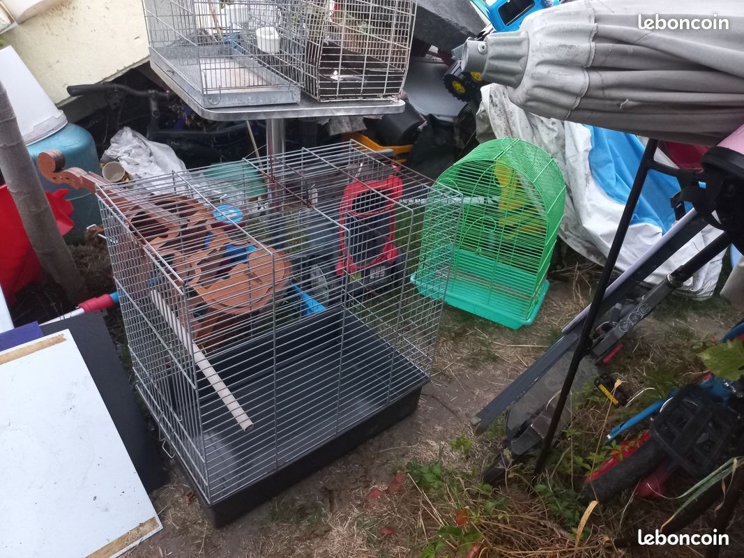 Voliere-cage oiseau-cage perroquet-cage tranport (image 1)