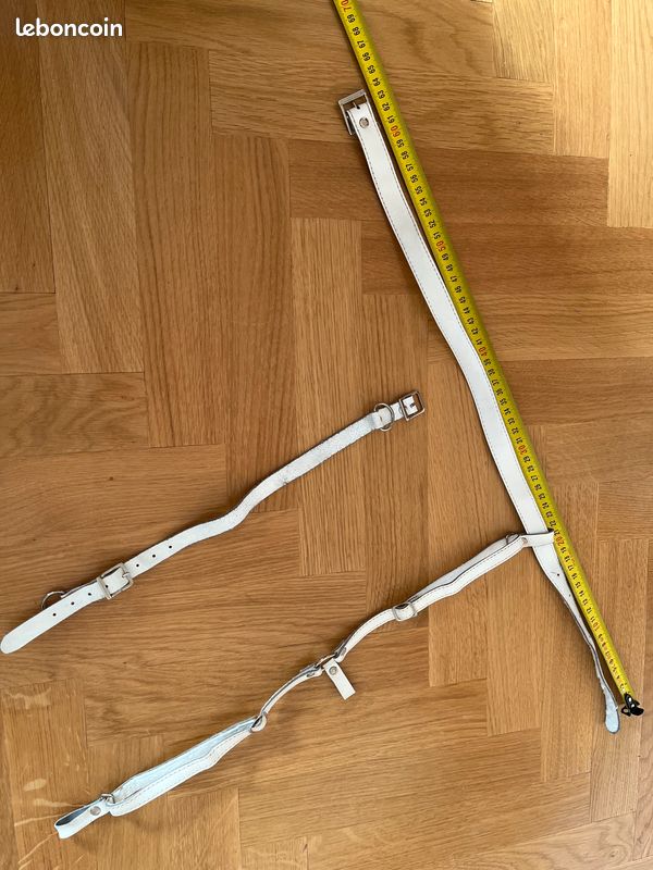 Laisse Ceinture avec Boucle - Bricolage, animaux domestiques (image 3)