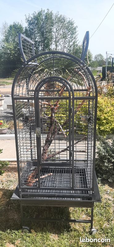 Cage pour perroquet (image 1)