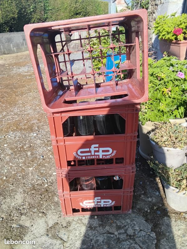 6 casiers à bouteilles avec ou sans bouteilles (image 1)