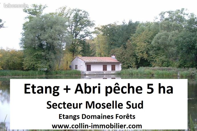 Terrain 50000 m² Château-Salins