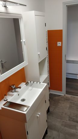Beau T3 rénové centre Ambert
