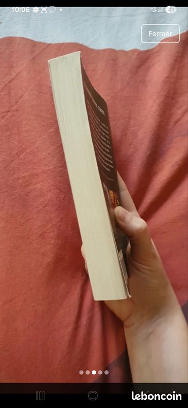 Livre le labyrinthe (image 3)