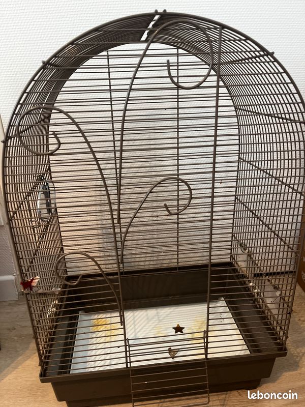 Vend cage oiseau (image 1)
