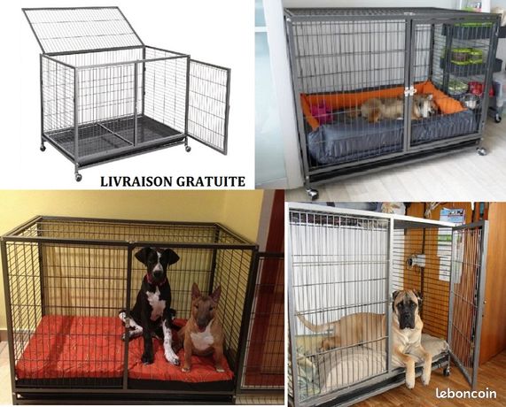 Animaux Chiot Chaton Meurthe Et Moselle Page 9 Leboncoin Animaux Chiot Chaton Meurthe Et Moselle Page 9 Leboncoin