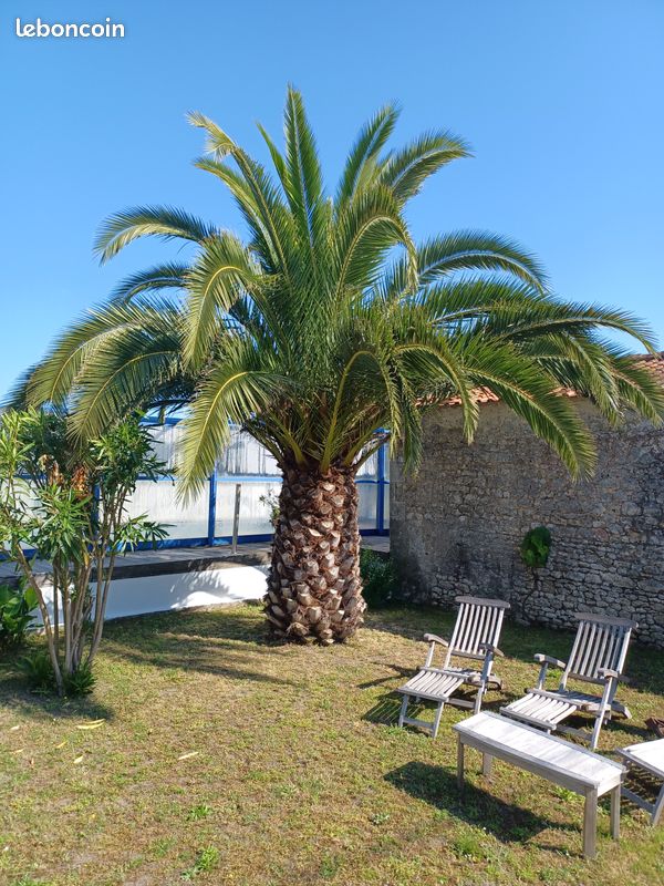 Maison 6 pièces 315 m² · à Saint-Just-Luzac · 315 m² · 410 000 €