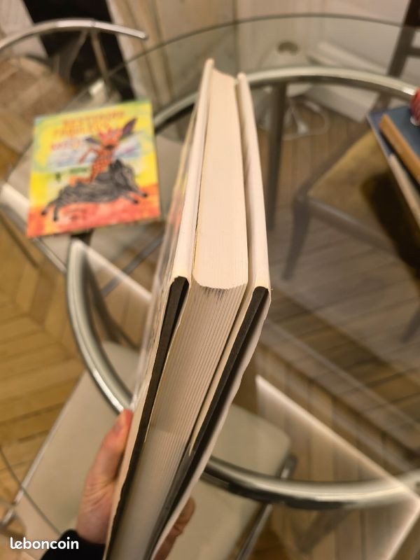 Grand livre Salvador Dali (image 3)