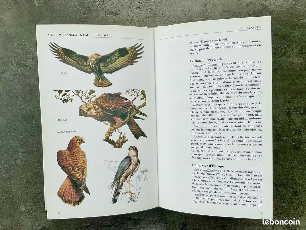 Livre j'aime les oiseaux Neuf (image 4)