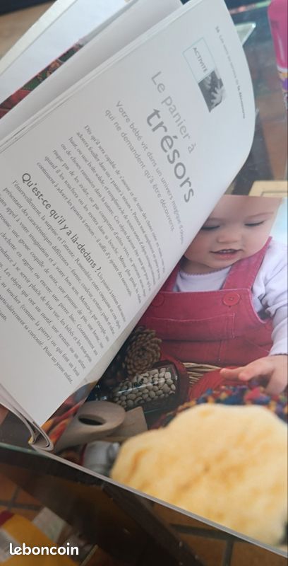 Livre Pedagogie Montessori à la maison (image 4)