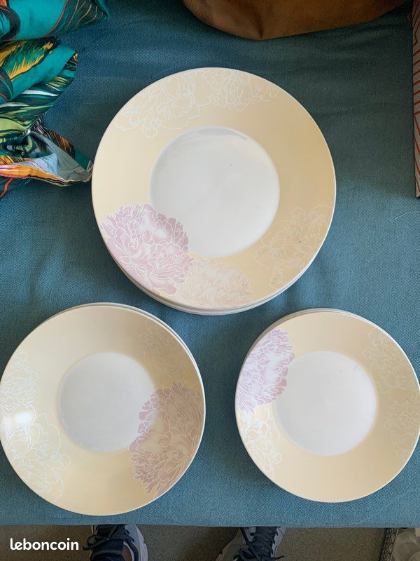 6 grand assiettes + 5 petite assiettes + 4 assiettes vendu ensemble URGENT (image 4)