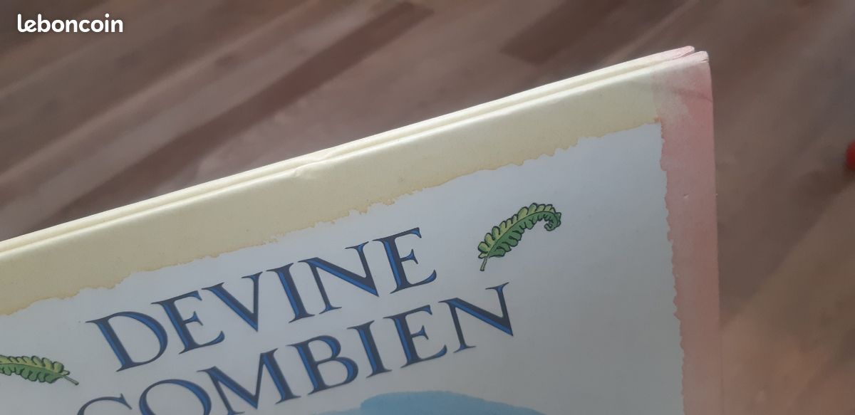 Livre "Devine combien je t'aime" (image 4)